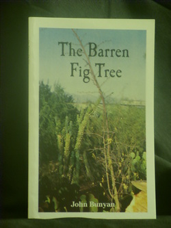 Barren Fig Tree